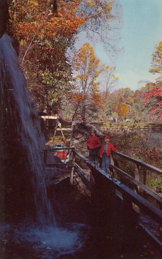 Bear Cave and Resort - Postcard (newer photo)